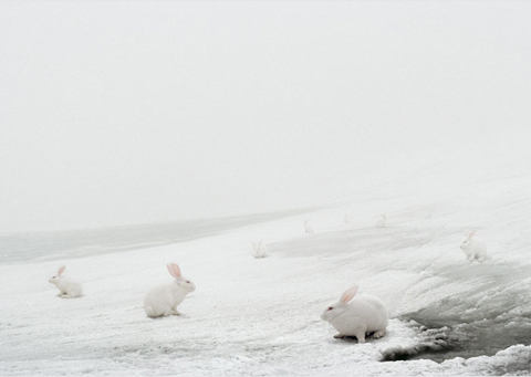 Andrea_Galvani