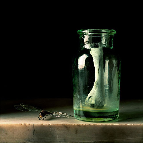 Paul-Cary-Goldberg5
