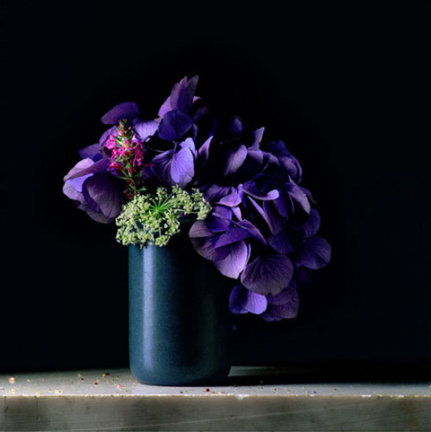 Paul-Cary-Goldberg7