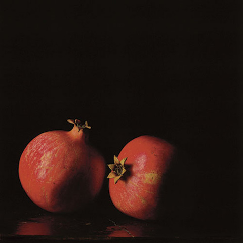 Paul-Cary-Goldberg8