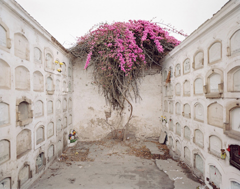 carlos_jimenez_cahua3