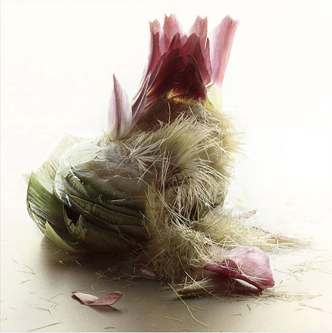 Peter_Lippmann2