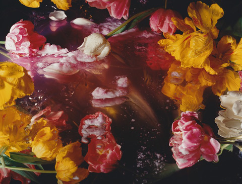 margriet_smulders2 margriet_smulders2