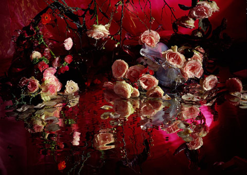 margriet_smulders4 margriet_smulders4