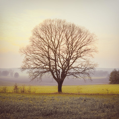 Nicolas_Arnold6 Nicolas_Arnold6