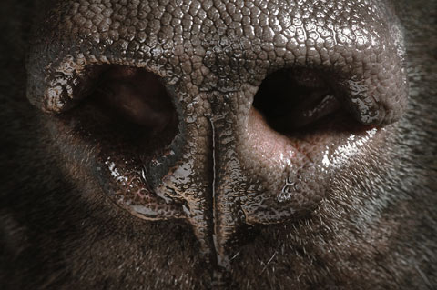 tim_flach7