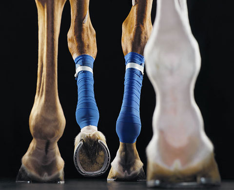 tim_flach8