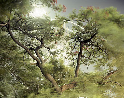 Peter Bialobrzeski photography