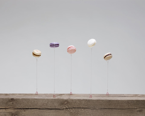 Carl Kleiner photography Carl Kleiner photography