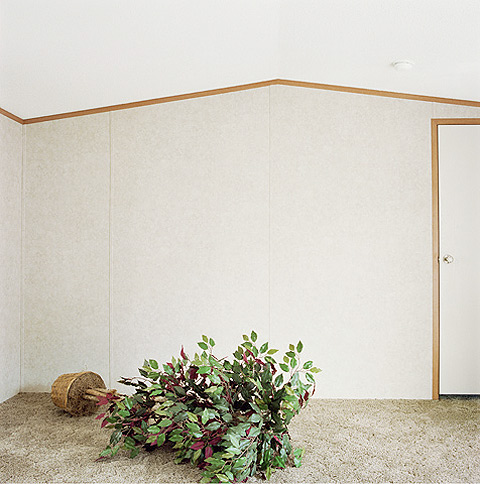 Amy Eckert photography manufacturing home