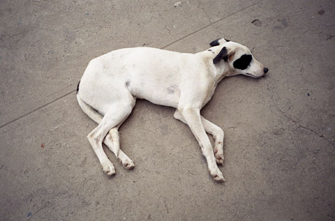 Emil Kozak photography