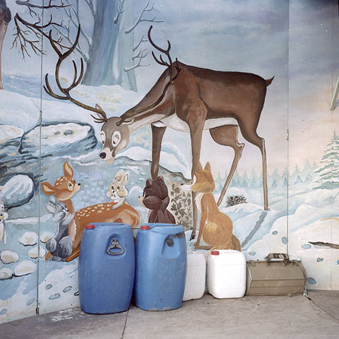 Emil Kozak photography