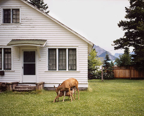 Mark Mahaney photography