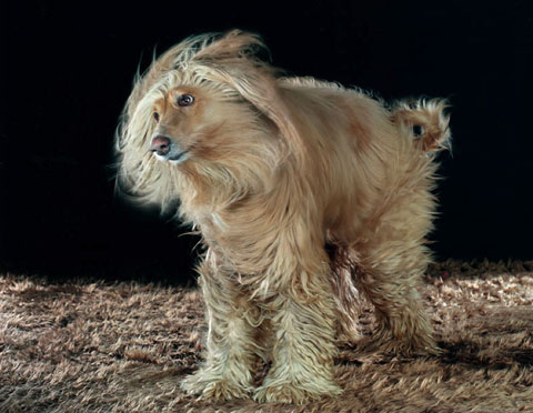 Olga Samuels photography Olga Samuels photography