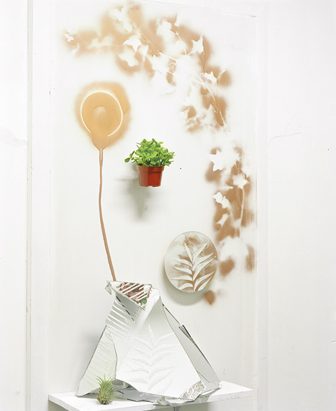 Heidi Norton photography still life