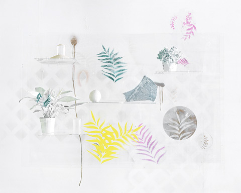Heidi Norton photography still life