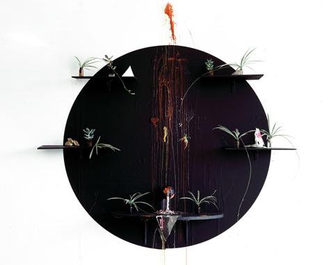 Heidi Norton photography still life