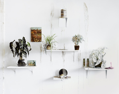 Heidi Norton photography still life