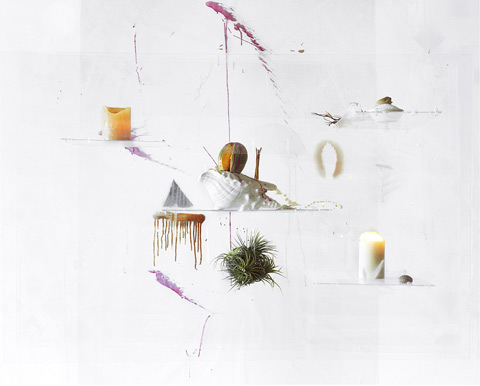 Heidi Norton photography still life