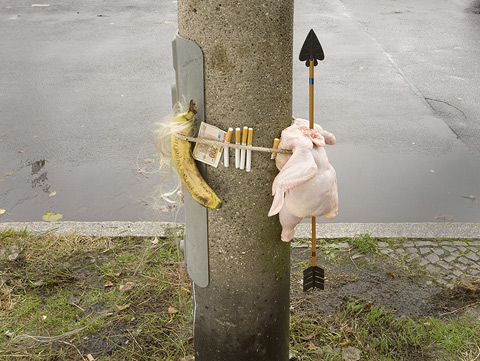 Rachel de Joode photography