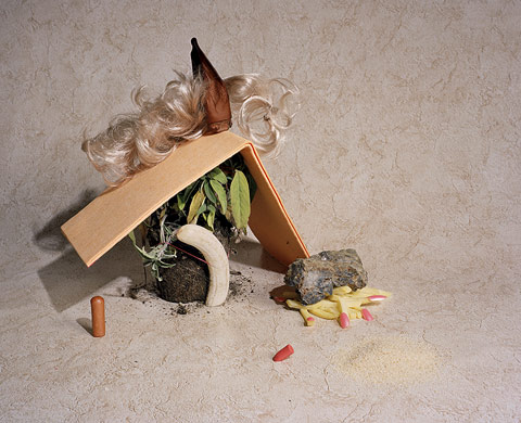 Rachel de Joode photography