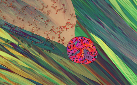 Nikon Small World 2010 photography competition Nikon Small World 2010 photography competition