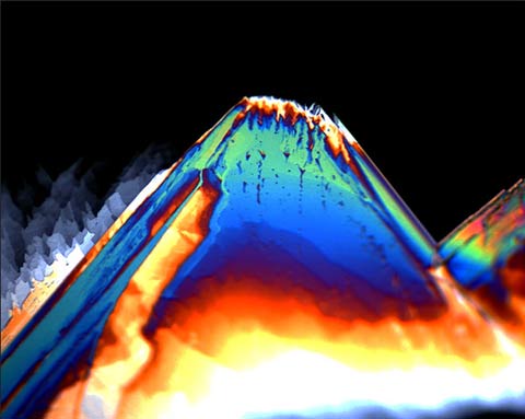 Nikon Small World Competition 2010 photography Dr. Rong Wen Nikon Small World Competition 2010 photography Dr. Rong Wen