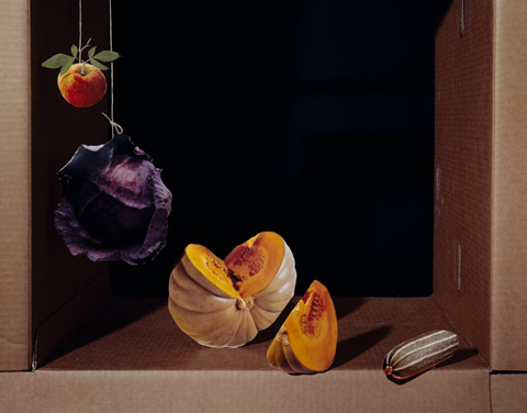 scheltens abbenes photography scheltens abbenes photography