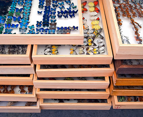 Klaus Pichler photography Klaus Pichler photography