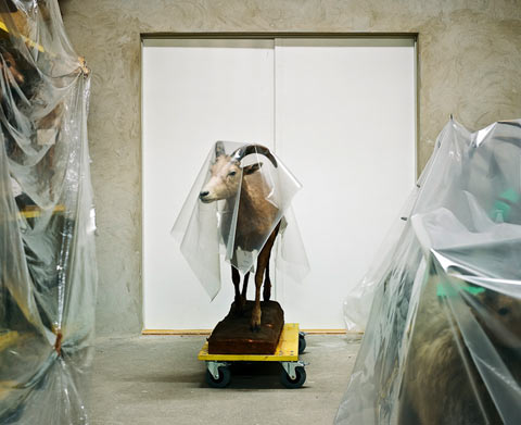Klaus Pichler photography Klaus Pichler photography