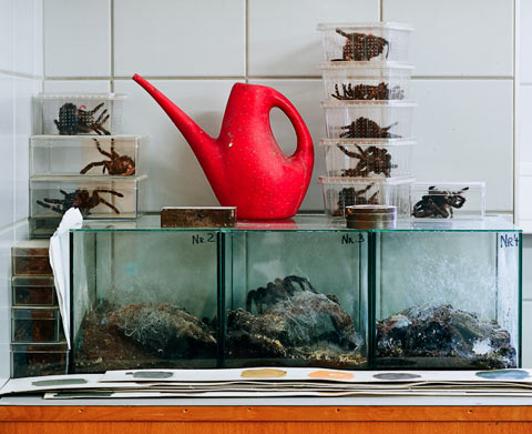 Klaus Pichler photography Klaus Pichler photography
