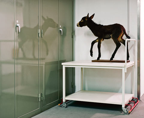 Klaus Pichler photography Klaus Pichler photography