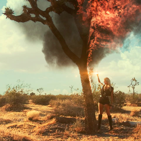 Neil Krug photography