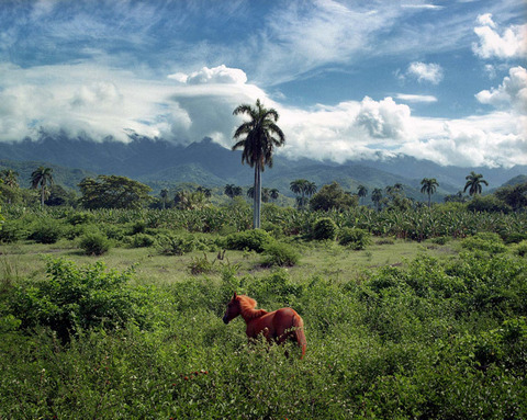 baldomero fernandez photography