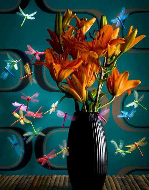 Penny Cottee photography Penny Cottee photography