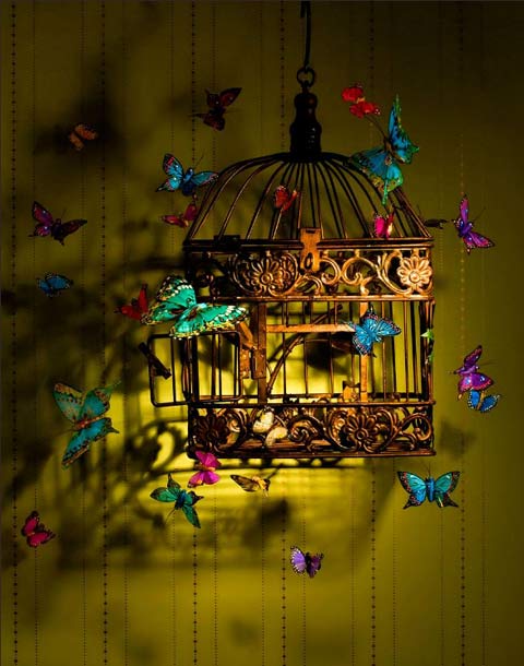 Penny Cottee photography Penny Cottee photography