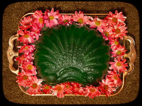 Tamar Levine photography Tamar Levine photography