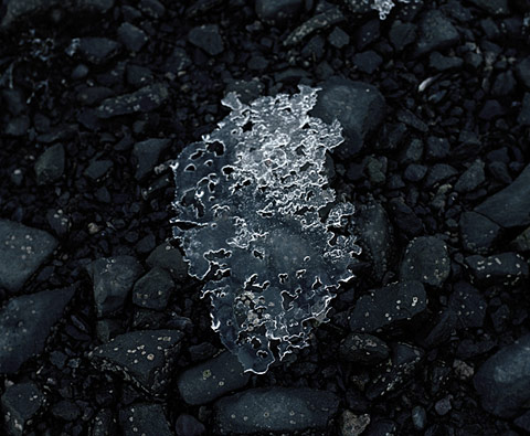Teo Ormond Skeaping photography