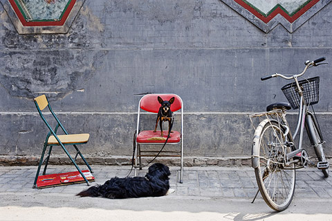 Miguel Candela photography