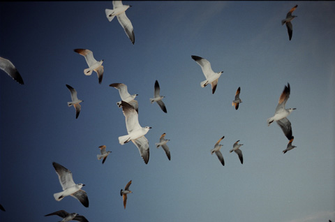 Tatum Shaw photography