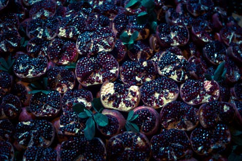 Davi Russo photography