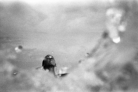 Kramer O'Neill photography