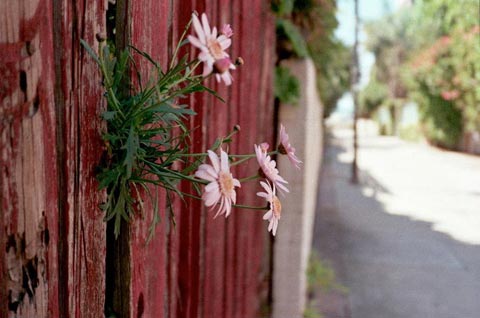 John Kilar photography John Kilar photography