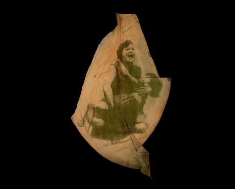 chlorophyll printing binh danh