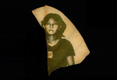 chlorophyll printing binh danh