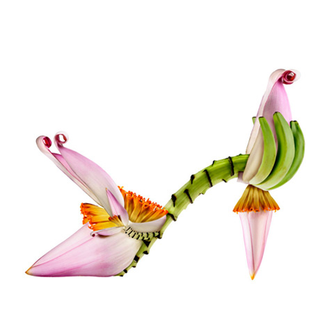 shoe fleur Michel Tcherevkoff