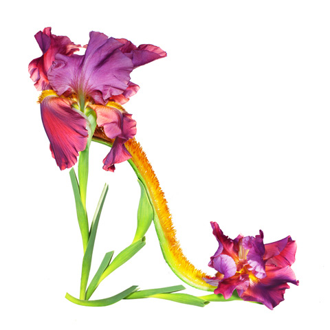 shoe fleur Michel Tcherevkoff