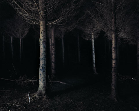 Sander Meisner photography