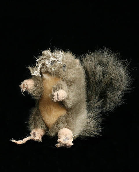 Photos of chewed up dog toys that have seen better days