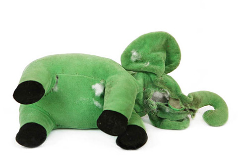 Photos of chewed up dog toys that have seen better days